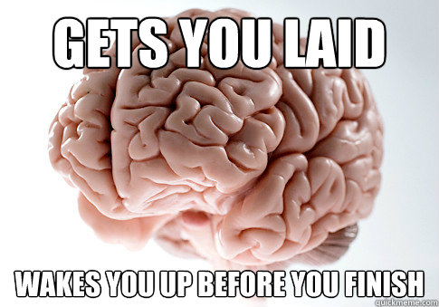 Gets you laid wakes you up before you finish  Scumbag Brain