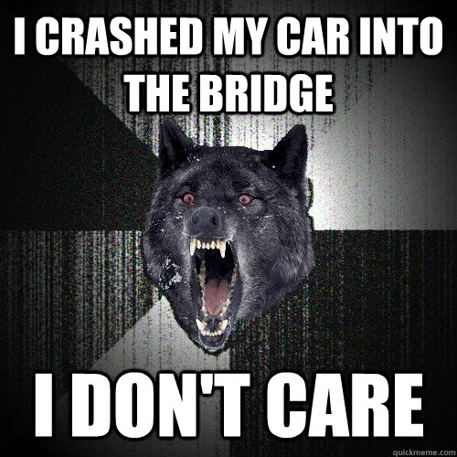 I crashed my car into the bridge I don't care  Insanity Wolf