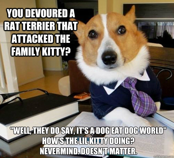 You devoured a rat terrier that attacked the family kitty? 