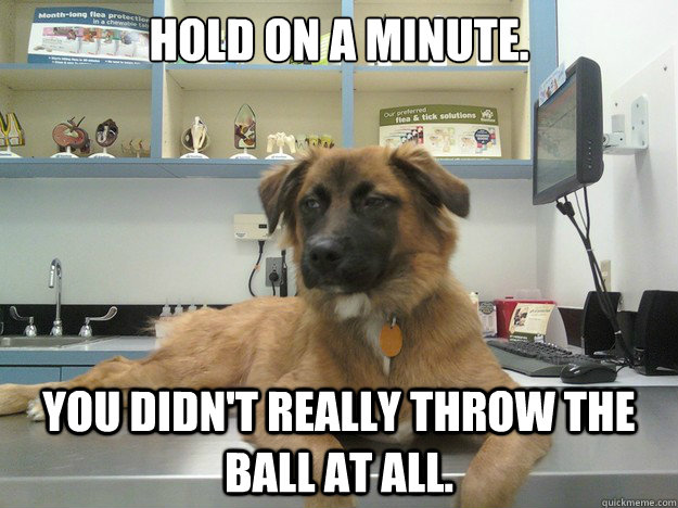 HOLD ON A MINUTE. YOU DIDN'T REALLY THROW THE BALL AT ALL.  Suspicious Dog