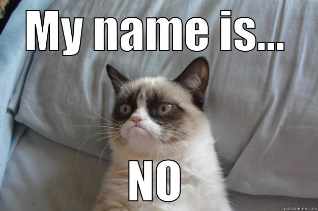 MY NAME IS... NO Grumpy Cat