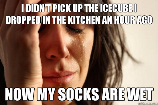 I didn't pick up the icecube I dropped in the kitchen an hour ago now my socks are wet   First World Problems