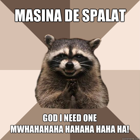 Masina de spalat God I need one
mwhahahaha hahaha haha ha!  Evil Plotting Raccoon