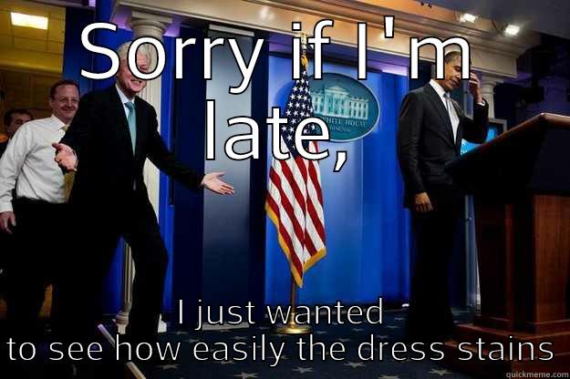 Dress Stain - SORRY IF I'M LATE, I JUST WANTED TO SEE HOW EASILY THE DRESS STAINS Inappropriate Timing Bill Clinton