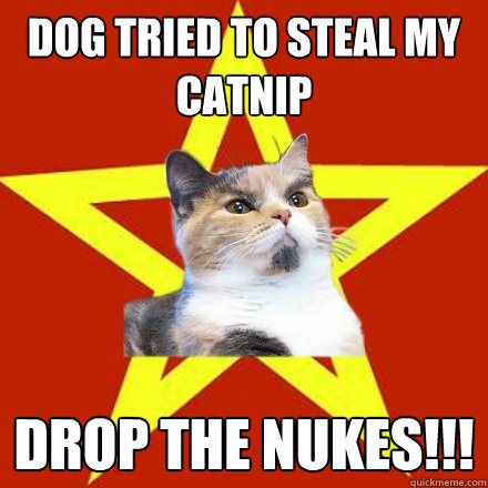 Dog tried to steal my catnip DROP THE NUKES!!!  Lenin Cat