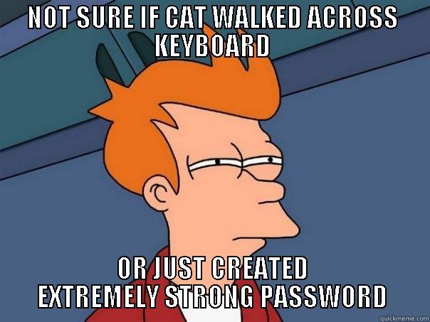 NOT SURE IF CAT WALKED ACROSS KEYBOARD OR JUST CREATED EXTREMELY STRONG PASSWORD Futurama Fry