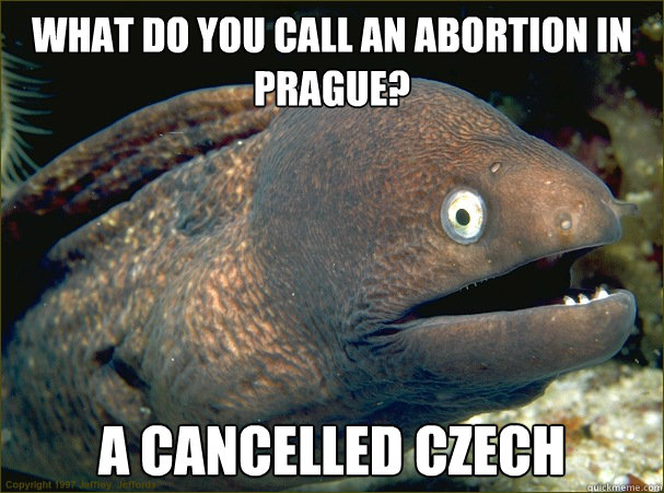 What do you call an abortion in Prague?  A cancelled Czech  Bad Joke Eel