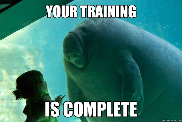 your training is complete - your training is complete  Overlord Manatee