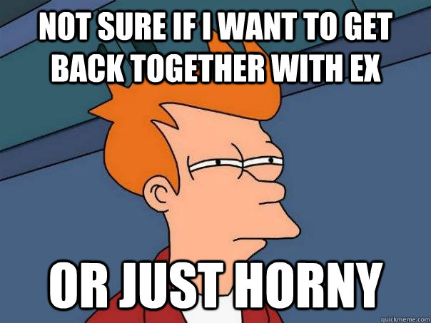 not sure if i want to get back together with ex or just horny  Futurama Fry