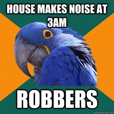 House makes noise at 3am ROBBERS  