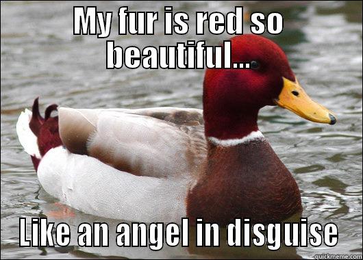 MY FUR IS RED SO BEAUTIFUL... LIKE AN ANGEL IN DISGUISE Malicious Advice Mallard