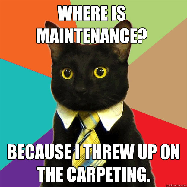 Where is maintenance?   Because I threw up on the carpeting. - Where is maintenance?   Because I threw up on the carpeting.  Business Cat