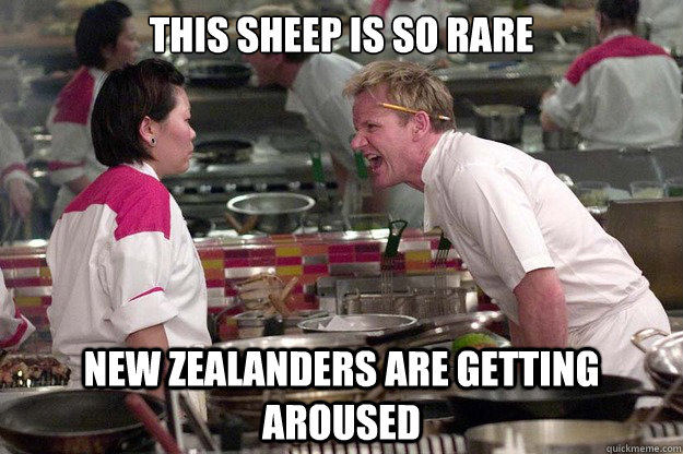 THIS SHEEP IS SO RARE NEW ZEALANDERS ARE GETTING AROUSED - THIS SHEEP IS SO RARE NEW ZEALANDERS ARE GETTING AROUSED  Misc