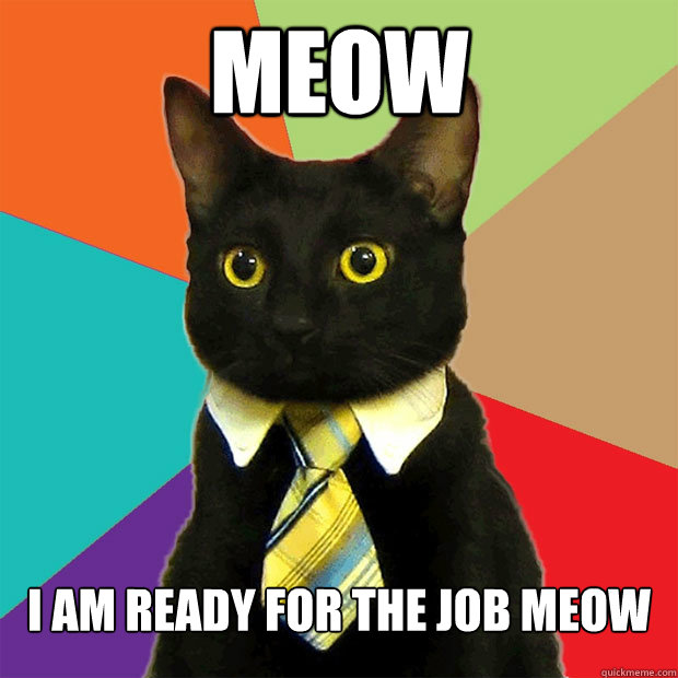 meow i am ready for the job meow  Business Cat