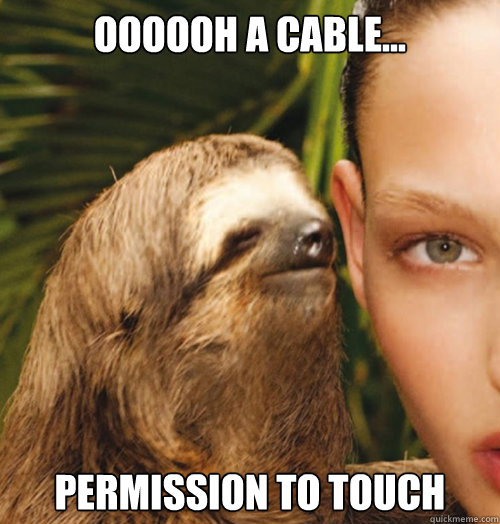 oooooh a cable... Permission to touch  Whispering Sloth