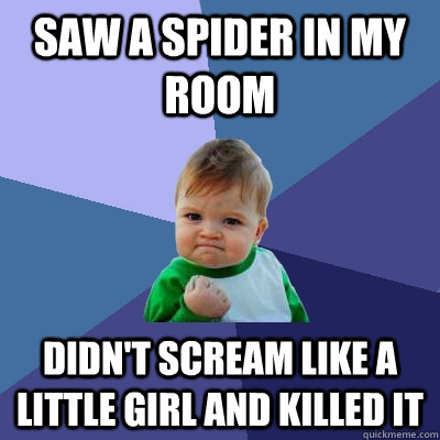 Saw a spider in my room didn't scream like a little girl and killed it  Success Kid