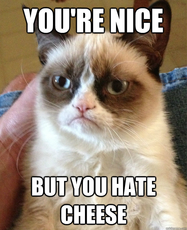 you're nice but you hate cheese  Grumpy Cat