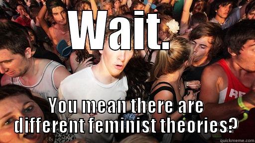 WAIT.  YOU MEAN THERE ARE DIFFERENT FEMINIST THEORIES? Sudden Clarity Clarence