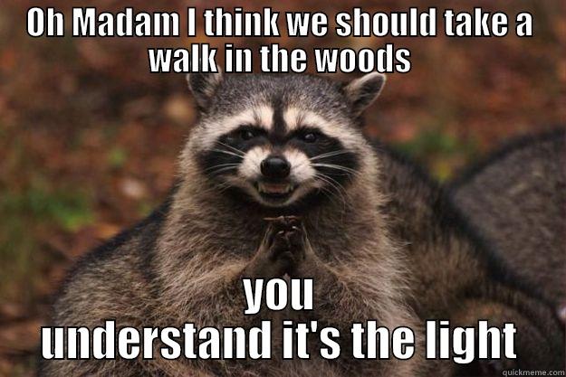 OH MADAM I THINK WE SHOULD TAKE A WALK IN THE WOODS YOU UNDERSTAND IT'S THE LIGHT Evil Plotting Raccoon