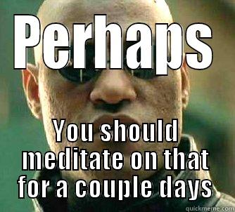 Meditate This - PERHAPS YOU SHOULD MEDITATE ON THAT FOR A COUPLE DAYS Matrix Morpheus