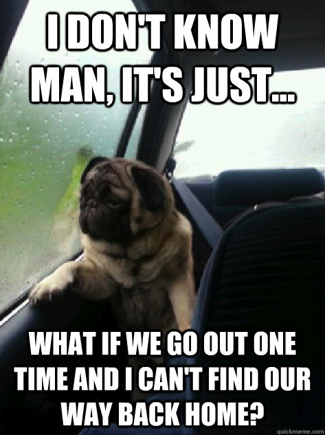 I don't know man, it's just... what if we go out one time and I can't find our way back home?  Introspective Pug