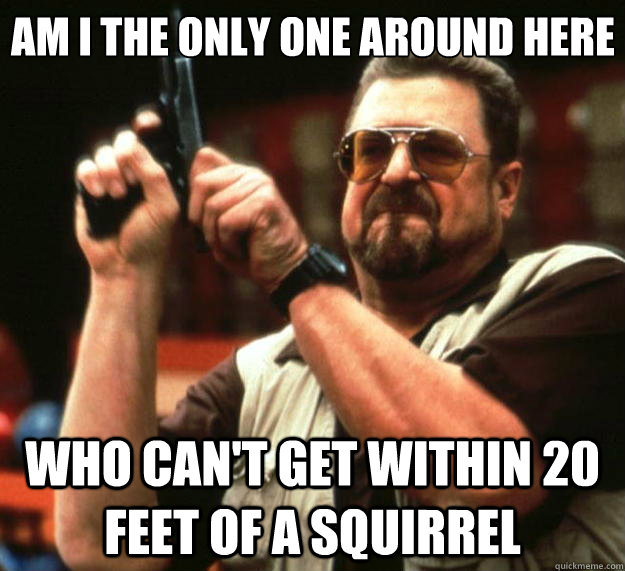 Am I the only one around here who can't get within 20 feet of a squirrel  Big Lebowski