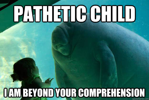 Pathetic Child  I AM Beyond Your Comprehension - Pathetic Child  I AM Beyond Your Comprehension  Overlord Manatee