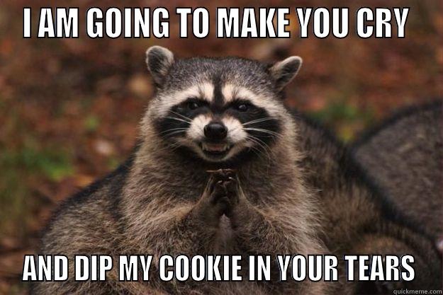 I AM GOING TO MAKE YOU CRY  AND DIP MY COOKIE IN YOUR TEARS Evil Plotting Raccoon