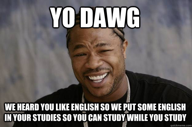 yo dawg we heard you like english so we put some english in your studies so you can study while you study   Xzibit meme