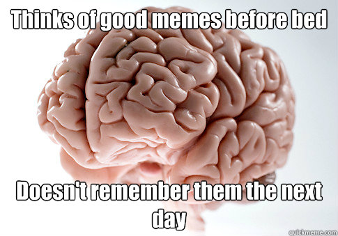 Thinks of good memes before bed Doesn't remember them the next day  Scumbag Brain