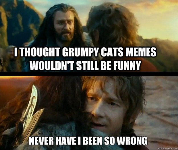 i thought grumpy cats memes wouldn't still be funny Never have I been so wrong - i thought grumpy cats memes wouldn't still be funny Never have I been so wrong  Sudden Change of Heart Thorin