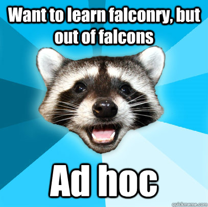 Want to learn falconry, but out of falcons Ad hoc - Want to learn falconry, but out of falcons Ad hoc  Lame Pun Coon