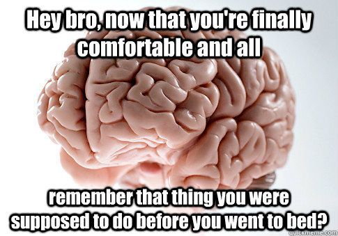 Hey bro, now that you're finally comfortable and all remember that thing you were supposed to do before you went to bed?  - Hey bro, now that you're finally comfortable and all remember that thing you were supposed to do before you went to bed?   Scumbag Brain