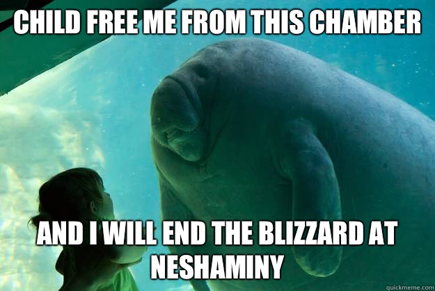 Child free me from this chamber and i will end the blizzard at Neshaminy  Overlord Manatee