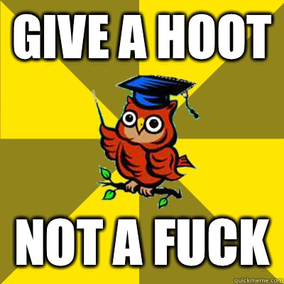 give a hoot Not a fuck  Observational Owl