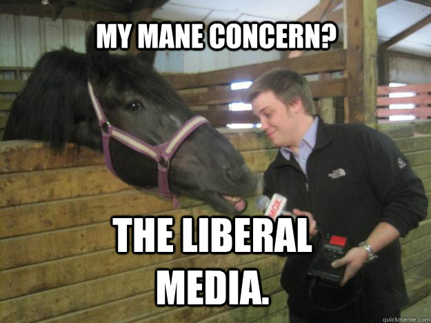 My mane concern? the liberal media.  