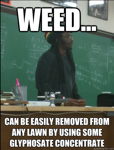 WEED... can be easily removed from any lawn by using some glyphosate Concentrate
  Rasta Science Teacher