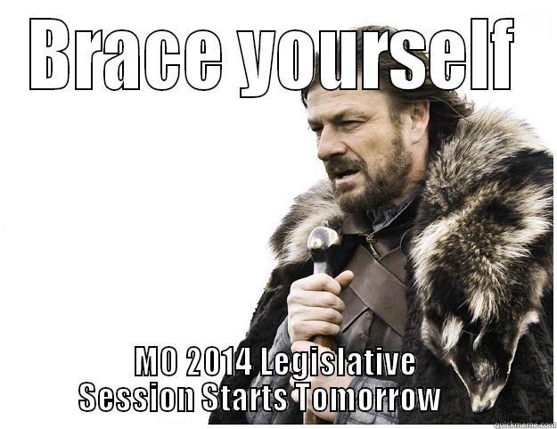 BRACE YOURSELF MO 2014 LEGISLATIVE SESSION STARTS TOMORROW      Imminent Ned