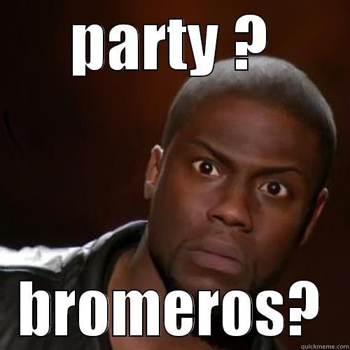 PARTY ? BROMEROS? Misc