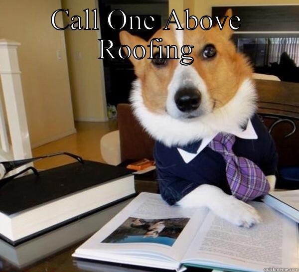 CALL ONE ABOVE ROOFING  Lawyer Dog