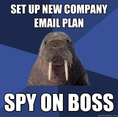 Set up new company email plan Spy on boss  Web Developer Walrus