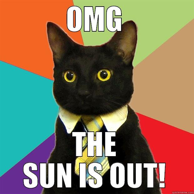 THE SUN? WHAT IS THAT? - OMG THE SUN IS OUT! Business Cat