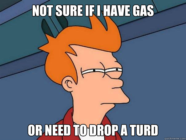 Not sure if I have gas or need to drop a turd - Not sure if I have gas or need to drop a turd  Futurama Fry