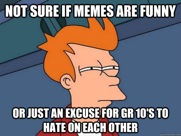 Not sure if memes are funny Or just an excuse for gr 10's to hate on each other  Futurama Fry