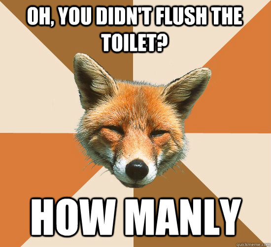 oh, You didn't flush the toilet? how manly  Condescending Fox