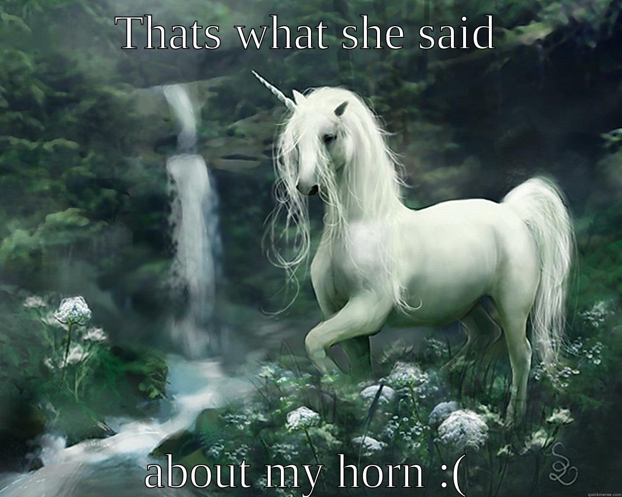 THATS WHAT SHE SAID ABOUT MY HORN :( Misc