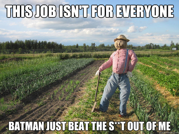 This job isn't for everyone Batman just beat the s**t out of me  Scarecrow