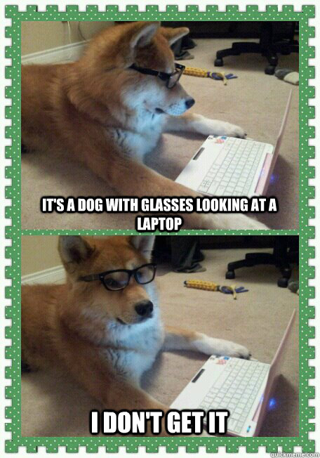 It's a Dog with glasses looking at a laptop I don't get it  hello