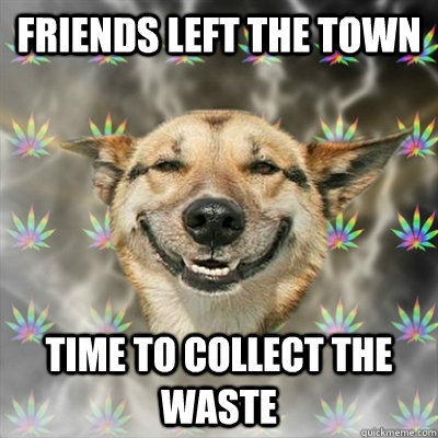 friends left the town time to collect the waste  Stoner Dog