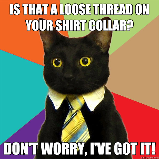 Is that a loose thread on your shirt collar? Don't worry, I've got it!  Business Cat